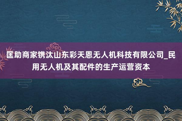 匡助商家镌汰山东彩天恩无人机科技有限公司_民用无人机及其配件的生产运营资本