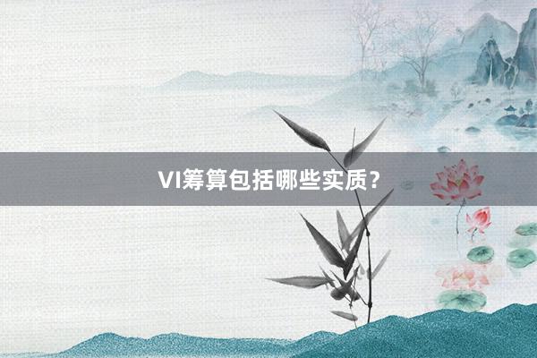 VI筹算包括哪些实质？